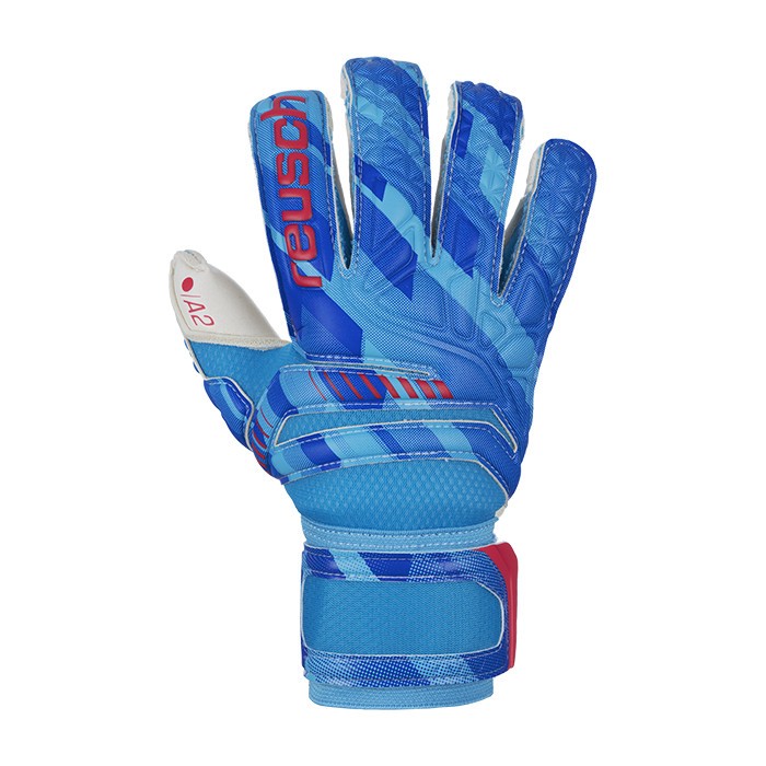 Rękawice Reusch Fit Control A2 Evolution